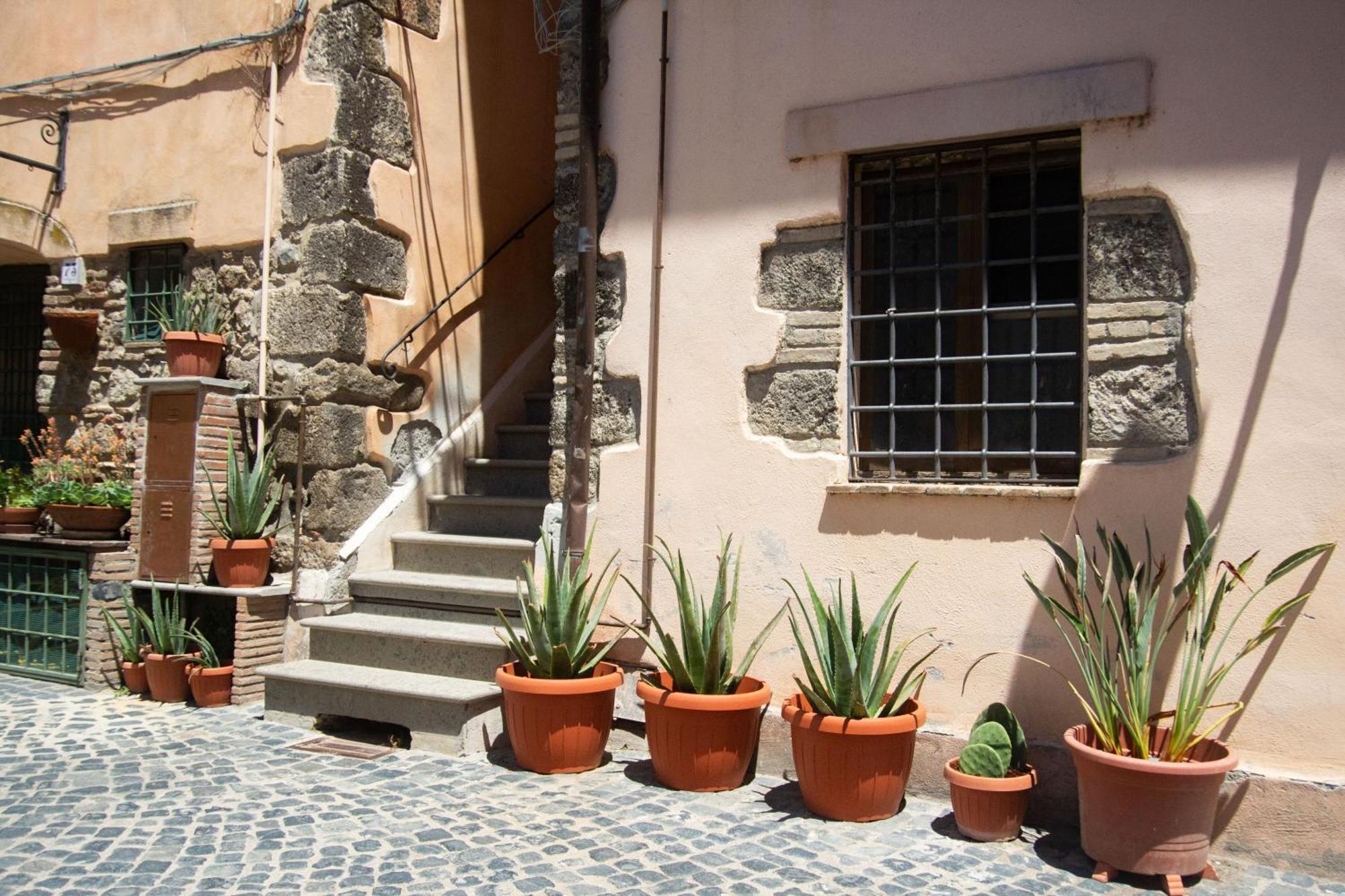Appartement Finestra Sul Borgo à Trevignano Romano Extérieur photo